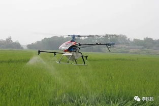 一、 噻唑锌与醚菌酯：化学性质兼容性探讨