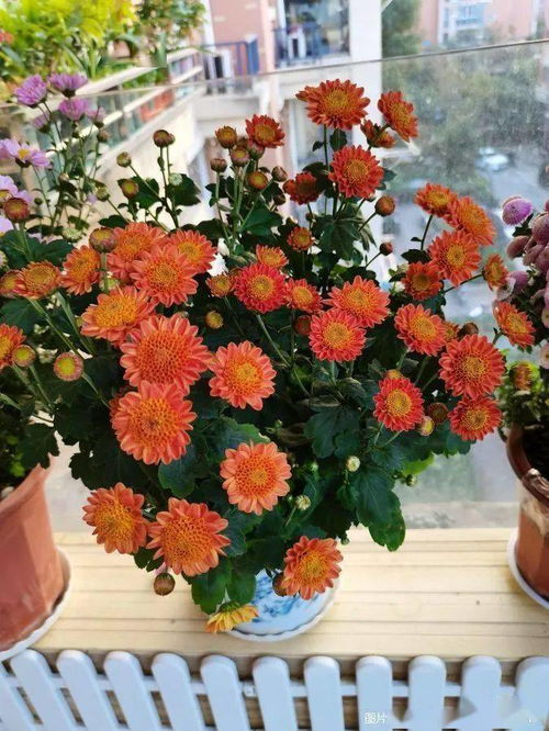 施肥时间与土地的深耕