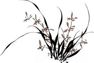 兰花飞肩的传承千载，其背后蕴含的华夏文化之美