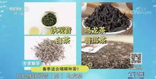 春日新茶：七彩谷普洱价格揭晓，阳春三月品鉴特惠！