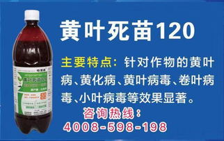可Neng的问题