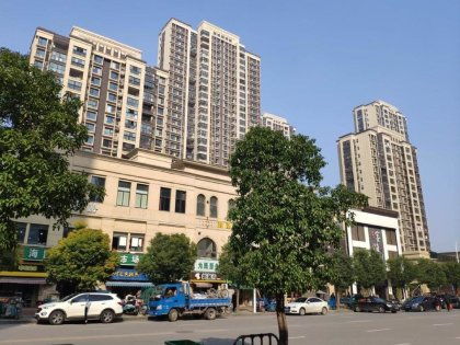 西葫芦：花卉中的营养宝库，带来哪些益处？