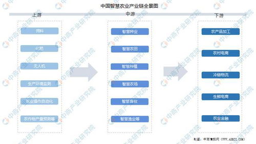 饲料工业在农业产业链中扮演何种核心角色？其发展现状如何影响我国农业现代化进程？