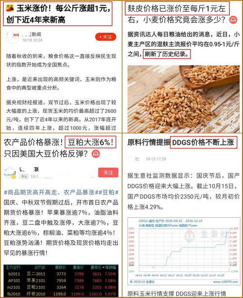 饲料原料价格为何持续飙涨，背后原因是什么？