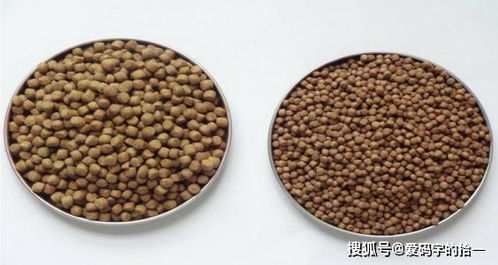 饲料中不同种类水分含量对储存有何影响？