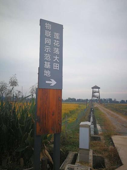 信息技术助力智慧农业养殖