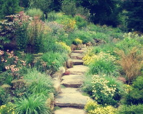 梯田式处理，创意满满！