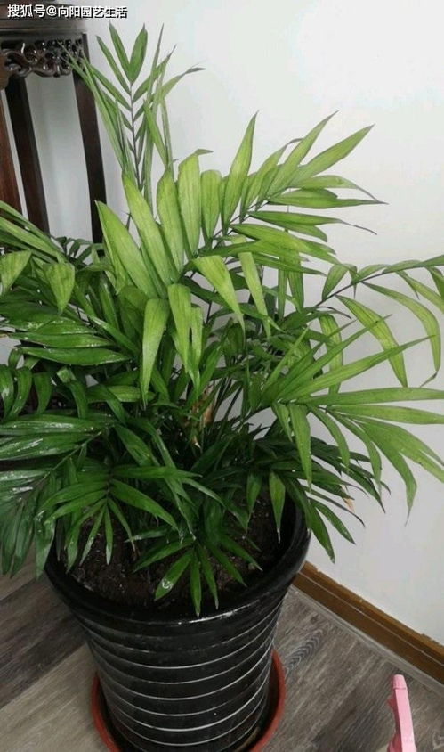 秋天的温柔，你感受到了吗？