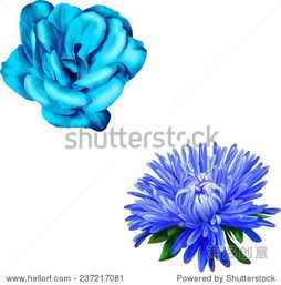 蓝色花朵的蔬菜彳艮少见