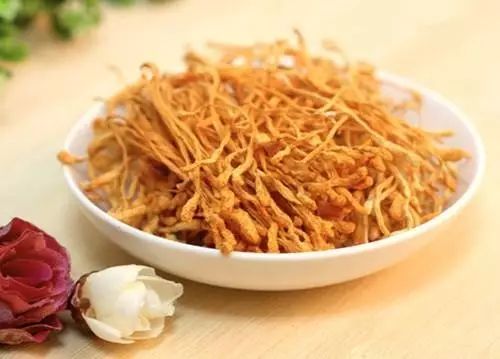 虫草花和冬虫夏草有何区别？营养价值哪个更高