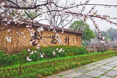 杏花村是山西还是安徽，具体位于哪个地区？
