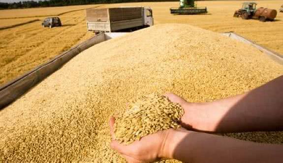 原因分析，你了解多少？