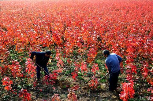 手工具的重要性