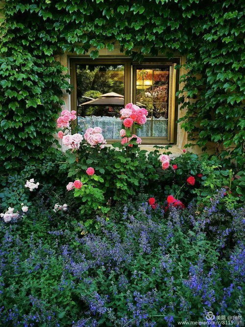 四季花园的魔法搭配，让美景承包你的春夏秋冬
