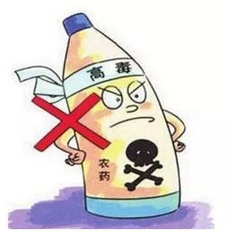 高温与农药：一场不寻常的较量