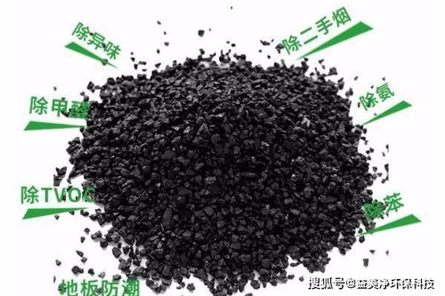 使用活性炭和植物除味