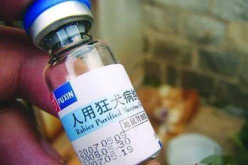 药物疫苗滥用致养殖风险高