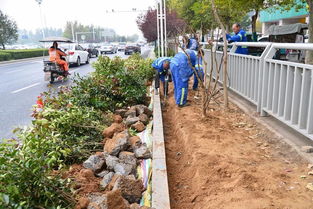 施肥量的具体建议