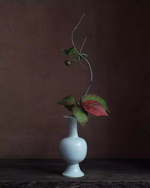 果实与藤蔓：自然的趣味与季节感