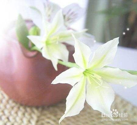 百合花，使用需谨慎