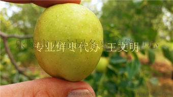 青芒果价格波动，每斤多少钱取决于产地和季节