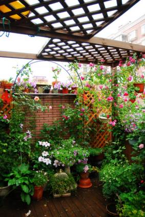 阳台微型花园， 小小的空间也有大大的世界