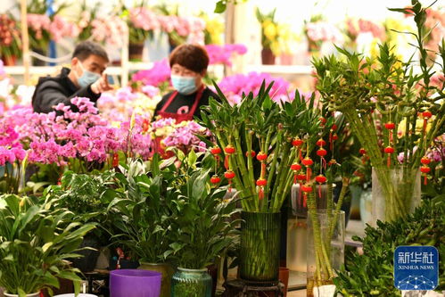 农科所专家的提示