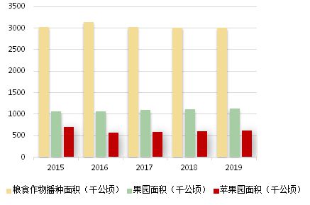 “哪种四季豆品种在口感、产量和适应性方面表现更佳
