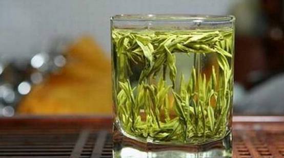 废弃茶叶作为肥料的效果如何？