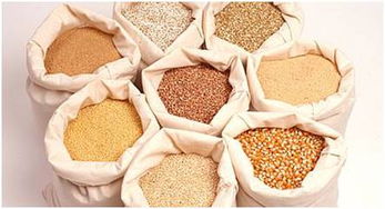 饲料中添加甜味剂，适量标准是多少？过量或不足会有哪些影响？