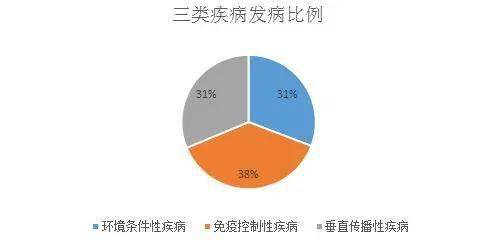 “创新禽病防治方案，高效支原体克星