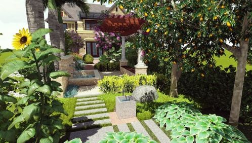 庭院里的蓝色风暴：草本植物大盘点