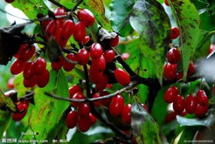 水管防冻的妙招