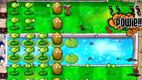 植物大战僵尸中的隐藏英雄