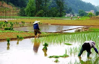 农药使用知识问答