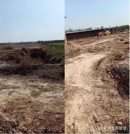 “养猪场国旗之争”变“养殖场国旗悬挂之争”