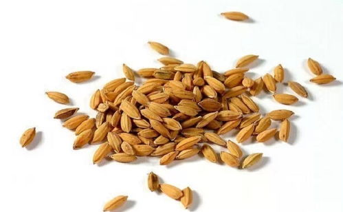 十年血泪教训：春播不如冬至前后处理