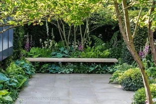 园艺探索中， 花草树木的多元世界