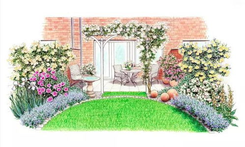 小空间花境如何设计搭配制作呢？你知道吗？现场制作方法干货分享来了你学会了吗？#花卉绿植#园艺#花境#小院改过@DOU+小助手#干货分享#分子级模拟爱的配方#庭院设计#一花一草一世界#设计师