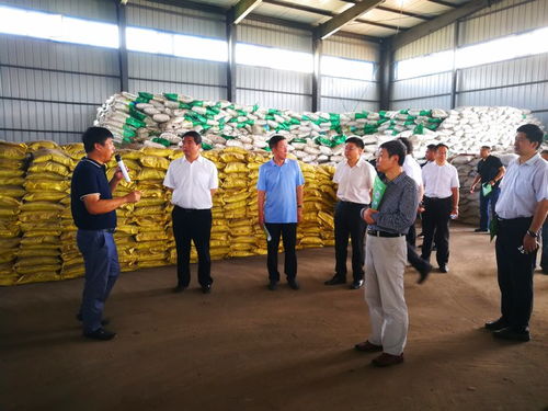 创新畜牧养殖新思路，绿色生态养殖引领未来