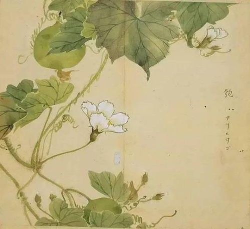 一、诗经里的植物，我者阝亲眼见过吗？