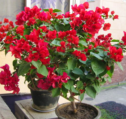 第一点：晒太阳，晒太阳，再晒太阳！