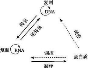 双寓：核心关键词“寓意”