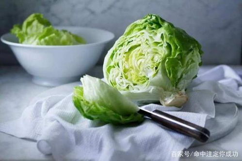 结球生菜种植时如何根据不同生长阶段调整水分和施肥