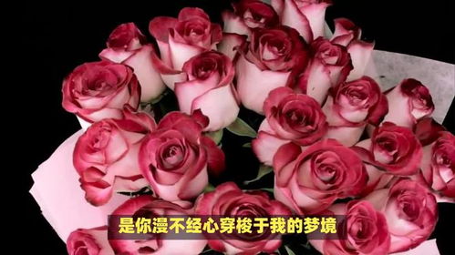 31朵玫瑰花代表什么特殊含义？背后有哪些浪漫传说