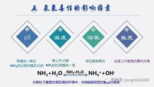 青绿饲料硝酸盐超标？科学管理是关键