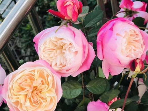 4：还有方法可依纠正吗