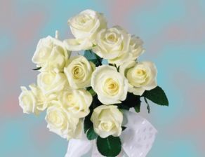 白玫瑰传歉意，鲜花致我错，花语表白情