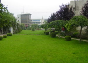 江苏中学混种草坪， 年维护费用仅2.3万/亩