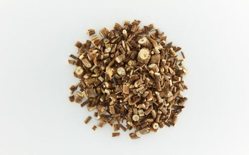 二、 温度、水分、光照缺一不可